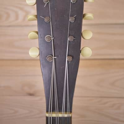 Regal Mandolin 1920s - Natural image 9