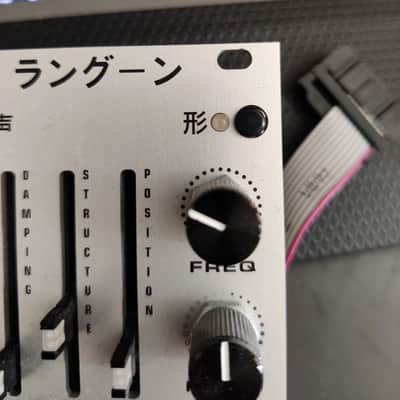 Big T Music Rangoon Mutable Instruments Rings Clone Eurorack Module image 9