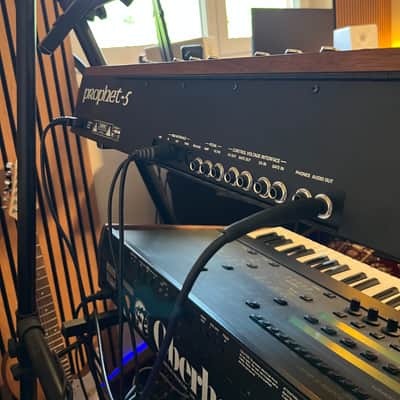 Sequential Prophet-5 61-Key 5-Voice Polyphonic Synthesizer 2020 - Present - Black with Wood Sides image 5