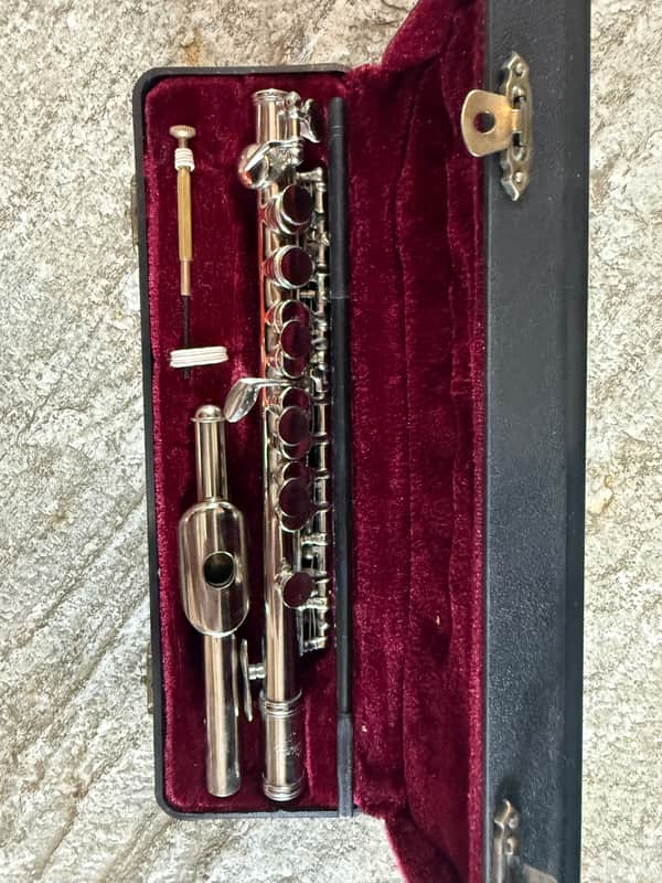 Piccolo with Case image 1