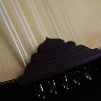 Antonio Huggler 10-String Mandolin | Brazil image 4