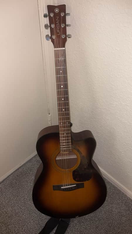 Yamaha FS800T Limited Edition Concert Acoustic Guitar