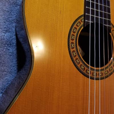 Fernandes/Takamine GC25 in 1975 image 4