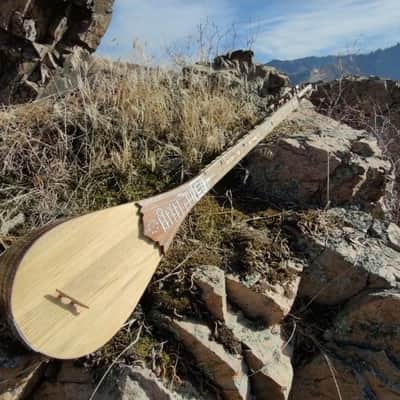 Sattar. Uyghur musical instrument Uyghur musical instrument 1990 image 2