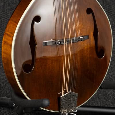 Eastman MD505 A Style Mandolin image 9