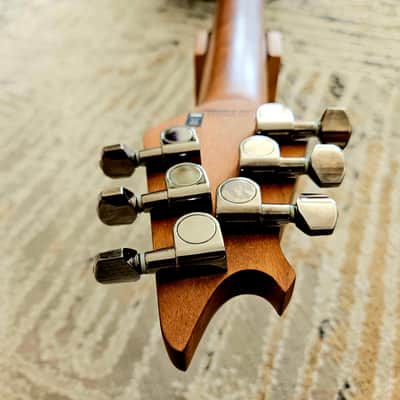 EVH Wolfgang Standard Chlorine Burst image 15