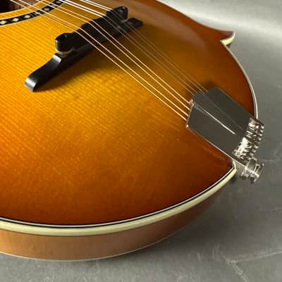 Eastman MD614 2024 - Goldburst image 5