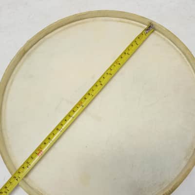 Gretsch 14"Calf Skin Snare Drum Batter Head Floor Tom/Rack Broadkaster Vintage40 image 4