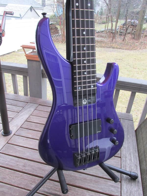 G. Gould GGi5 2016 Purple Metalflake 5 string bass image 1