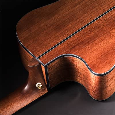 Cort GOLDA6 Gold Series Auditorium Cutaway Body Guitar w/Fishman Flex Blend Electronics & Shell Case image 5