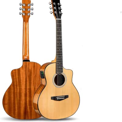 Takamine EG340C Acoustic Electric Guitar With SKB Hardcase Natural