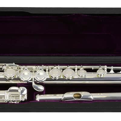 Second Hand Trevor James 3041e TJ10X MK IV SP Flute E Mech Outfit