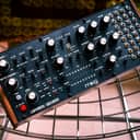Moog Labyrinth Parallel Generative Synthesizer 2024 - Present - Black with Wood Sides