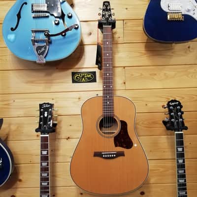 SEAGULL Coastline Momentum HG A/E – Dreadnought Acoustic-Electric Guitar image 2
