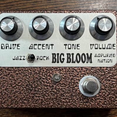 Amplified Nation Big Bloom image 1
