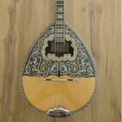 Greek bouzouki &hardcase & pickup & 300 backing track with pdf scores 8 string image 2