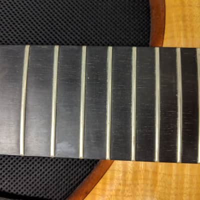 Alembic Epic 5 image 12