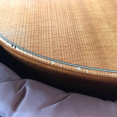 Taylor GS Mini Rosewood Limited 2012 image 8