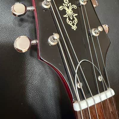 VINTAGE, RARE 1960's Julio Giulietti Model A22 Italian Semi-Hollow image 4
