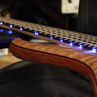 2018 Alembic Wave 6-string bass - immaculate, unique, many custom upgrades image 17