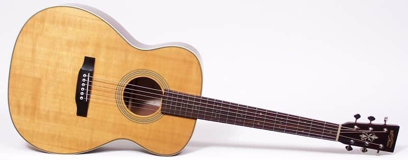 Recording King RO-16 Classic Series Acoustic Guitar Excellent! image 1
