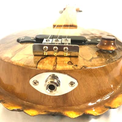 3 string Turtle shell slide guitar image 10