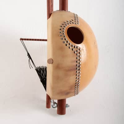 Acacia wood Kora - Traditional 21/22 string African Harp (made to order) image 4
