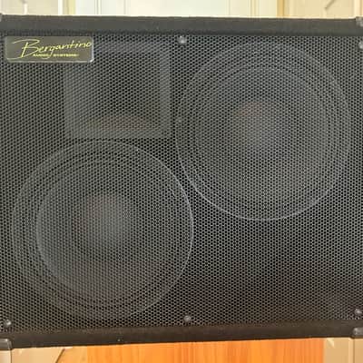 Bergantino Prototype HT210 image 2