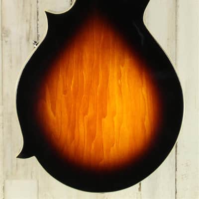 DEMO Gold Tone GM-35 - Tobacco Sunburst (384) image 3