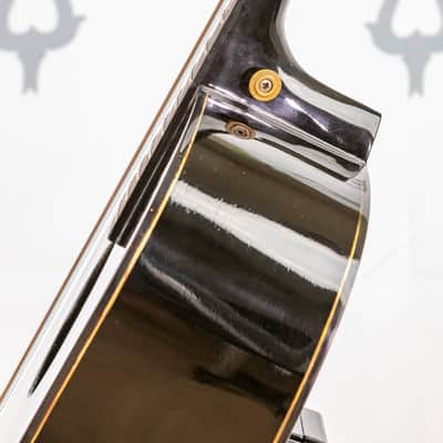 Daion Year Series '79 Black Acoustic Six String image 9