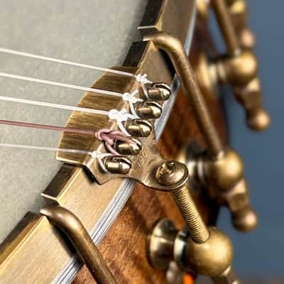 Ode Fretless Walnut Magician Nylon 5-String Openback Banjo 12" image 22