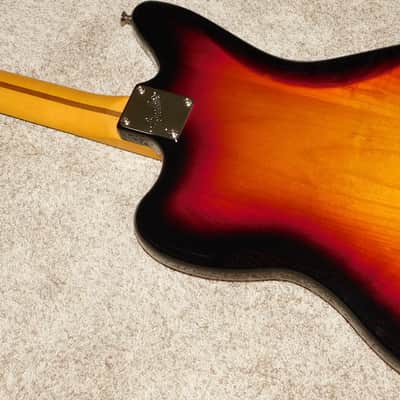 Fender American Professional Classic Jaguar Electric Guitar w/Eyeglass Case 2025 image 18