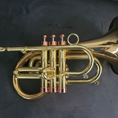 Carol Brass Compact Flugelhorn / Taylor Phat Puppy 2023 - Polished / Lacquered image 14