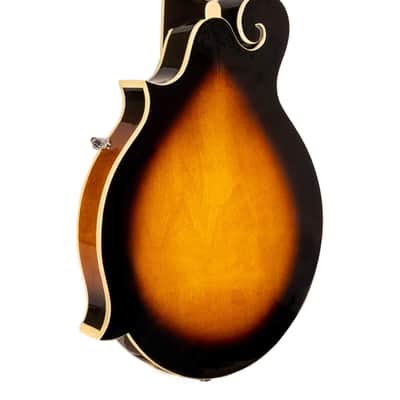 Gold Tone GM-35: F-Style Mandolin with Case image 11