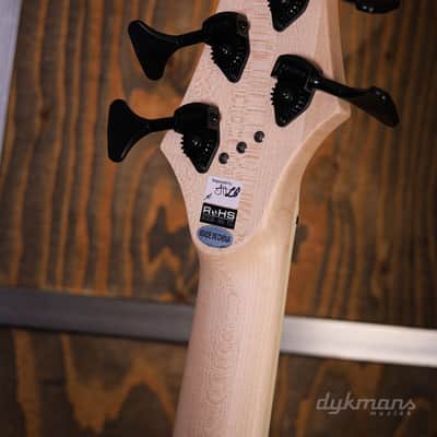 Dingwall NG3 Nolly 5-String Celestial Blue image 9