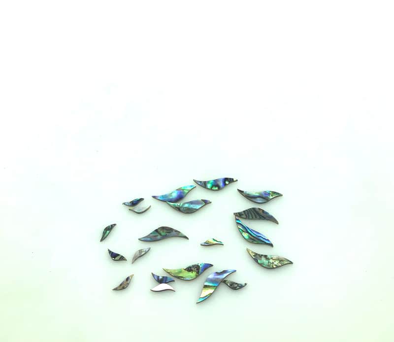 Immagine Set of 20 Fretboard Inlays - Abalone - 1