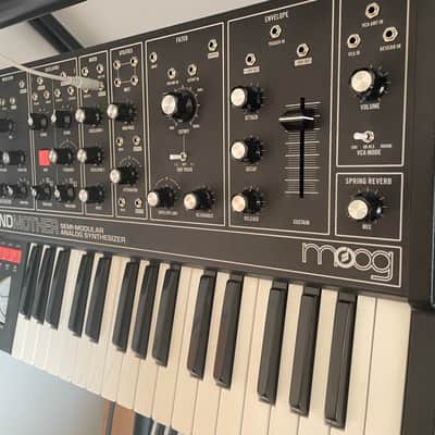 Immagine Moog Grandmother (Dark edition) - 2