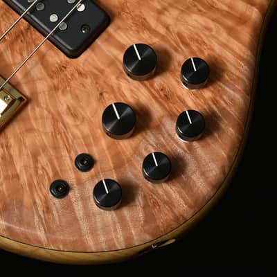 STR guitars LS549 - Burl Maple image 9