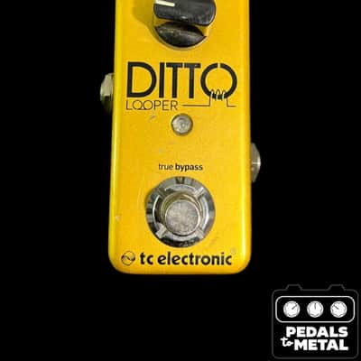 tc electronic Ditto Looper ゴールド TC Electronic Ditto Looper | Reverb