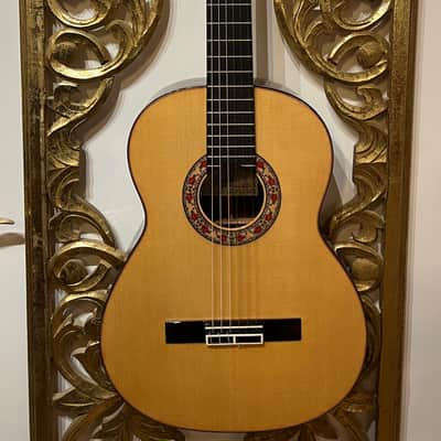 Ricardo Sanchis Carpio Flamenco Negra 2016 image 3
