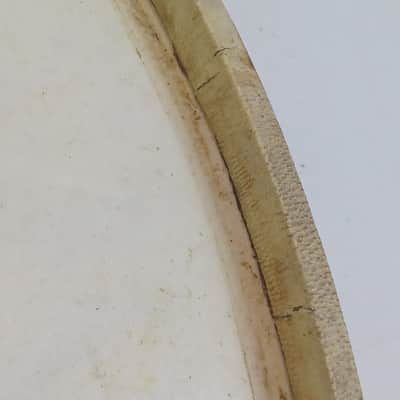 *Wilson 24" Calf Skin Bass Drum Head Vintage 20s Batter/Resonant Kick Calfskin image 7