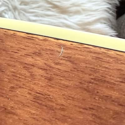 Immagine Epiphone Masterbilt DM500 Nat 2000s - Natural - 13