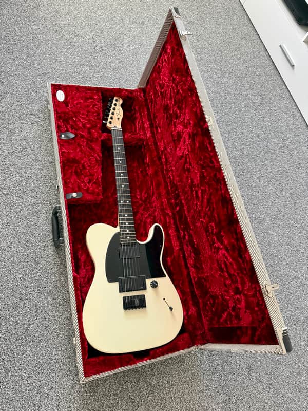 Fender Jim Root Artist Series Signature Telecaster 2008 - Present - Flat White