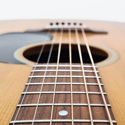 Thomastik-Infeld IBR112T Infeld Bronze Phosphor Bronze Acoustic Guitar Strings Medium Light (.012-.053) image 4
