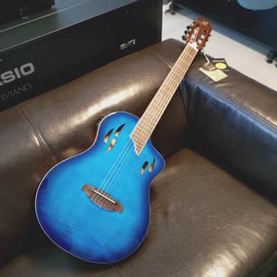 Ortega  Tourplayer 2024 image 6