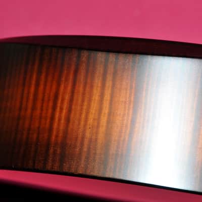 Taylor Builder's Edition 614ce WHB 2019 - Present - Wild Honey Burst image 4