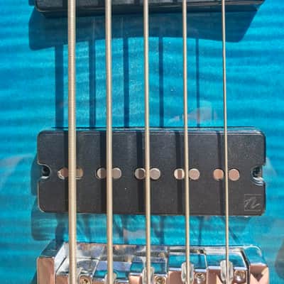 FRETLESS Spector Legend 5 Standard - modified & upgraded image 3
