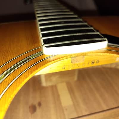 Yamaha FG-430 with Hard Case + fresh set up image 10
