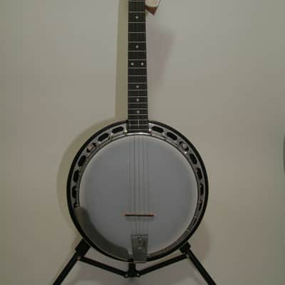 Recording King RK-R15 Madison Rambler Resonator Banjo