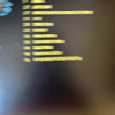 Good Tiger - Raised In A Doomsday Cult - Guitar tab / Tablature Book image 3